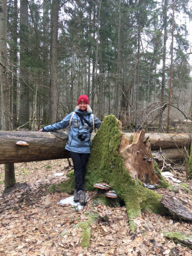 Międzynarodowy Dzień Lasów